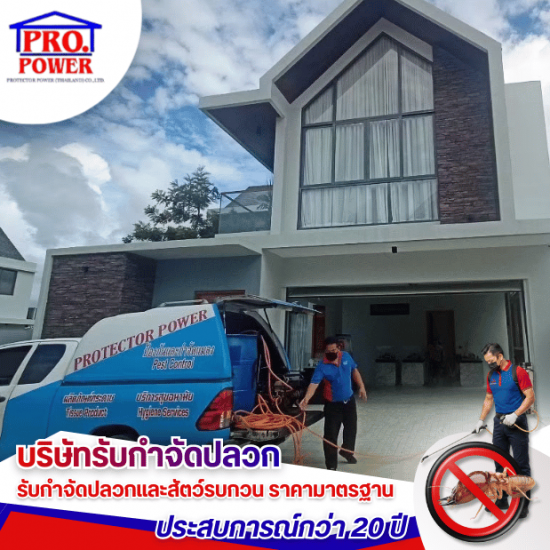 รับกำจัดปลวกในบ้าน พัทยา ชลบุรี
