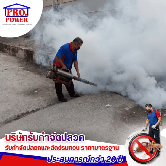 รับกำจัดแมลงบินรบกวน พัทยา ชลุบรี - บริษัทกำจัดปลวก กำจัดแมลง พัทยา ชลบุรี  ระยอง