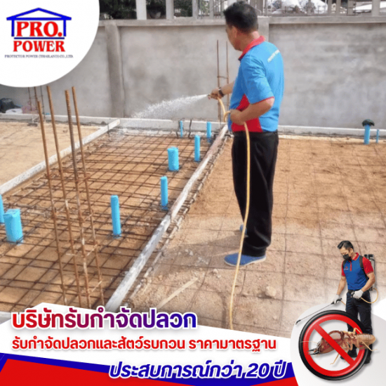 รับเหมาวางระบบกำจัดปลวก พัทยา - บริษัทกำจัดปลวก กำจัดแมลง พัทยา ชลบุรี  ระยอง