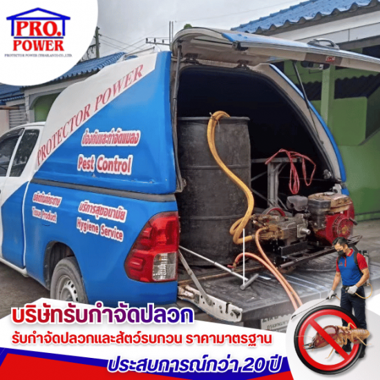 บริษัทกำจัดปลวก พัทยา