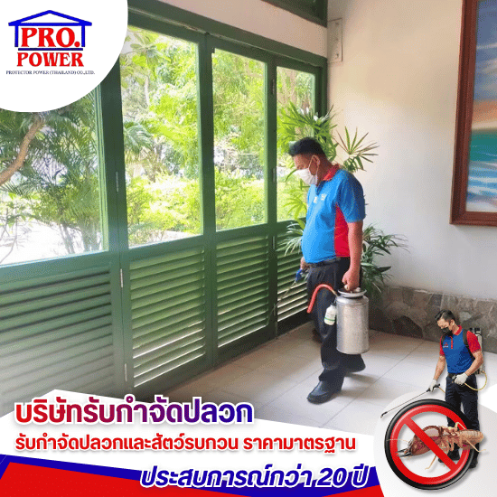 รับเหมาวางระบบกำจัดปลวกในอาคาร พัทยา - บริษัทกำจัดปลวก กำจัดแมลง พัทยา ชลบุรี  ระยอง