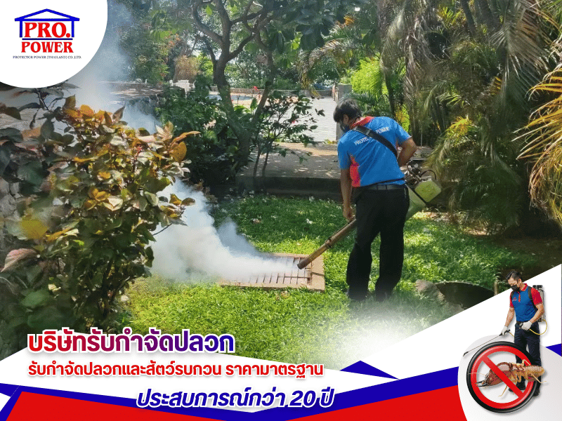 บริษัทรับกำจัดยุงลาย ศรีราชา พัทยา สัตหีบ บริษัทรับกำจัดยุงลาย ศรีราชา พัทยา สัตหีบ