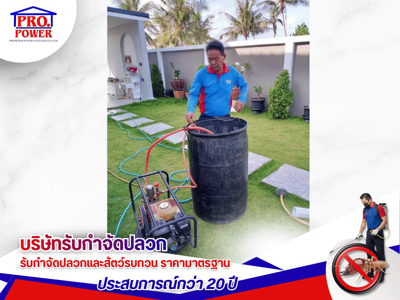 บริษัทรับกำจัดเห็บ หมัด ศรีราชา พัทยา สัตหีบ บริษัทรับกำจัดเห็บ หมัด ศรีราชา พัทยา สัตหีบ