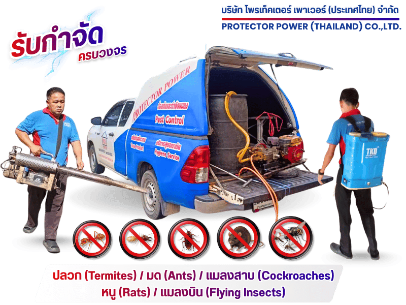 รับกำจัดปลวกแมลง ครบวงจร