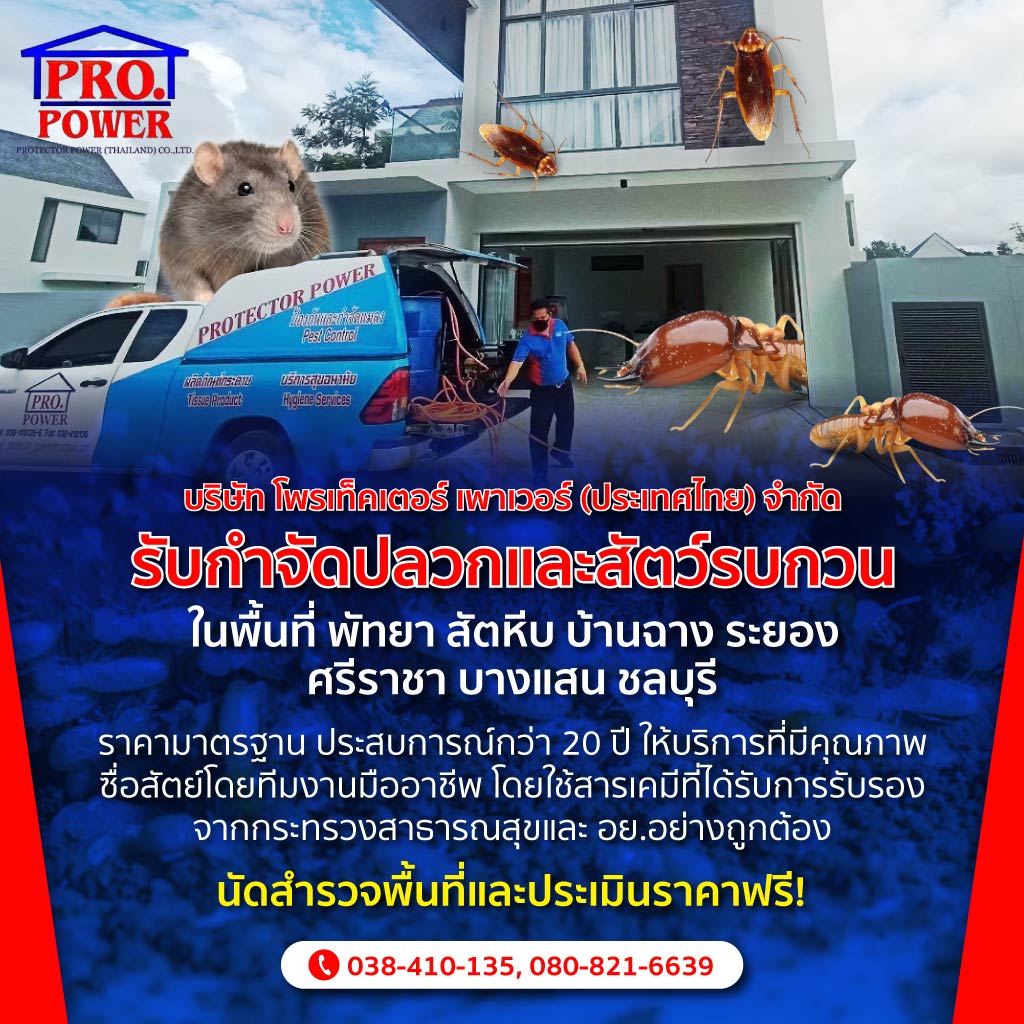 บริษัท โพรเท็คเตอร์ เพาเวอร์ (ประเทศไทย) จำกัด